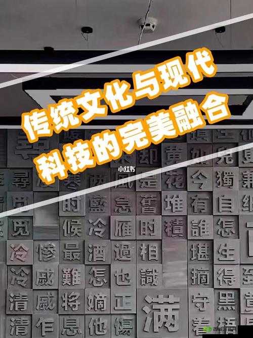 中国 дойк:传统文化与现代科技的完美结合