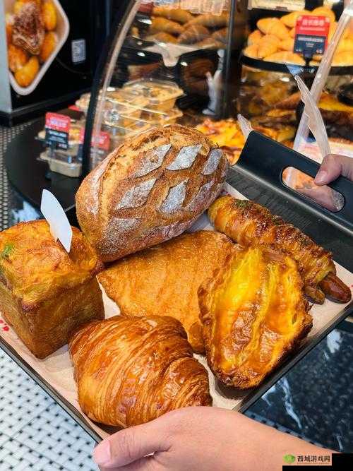 不思议迷宫里的味蕾奇遇,豪华蘑菇宴烹饪秘籍