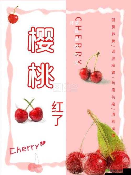 樱桃 cherry 官网:畅享樱桃之美与精彩体验