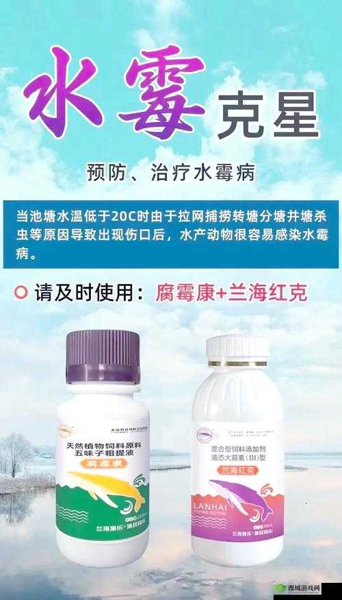 水霉 100 来射吧:专业水霉防治知识与技巧分享
