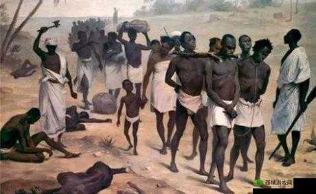 非洲人与性动交 CCOO:一个被忽视的性少数群体