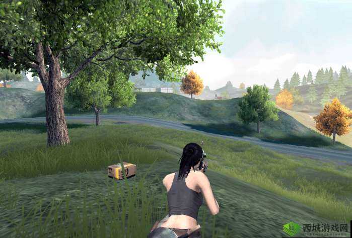 CF手游荒岛特训冷知识介绍,了解越多,胜算越大