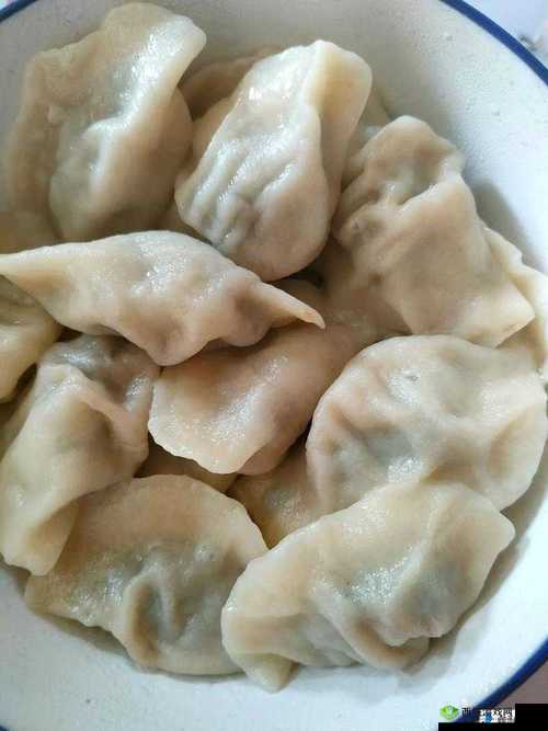 课后辅导 po 肉馅小水饺反映了人们对于自由的追求:自由之路的独特体现