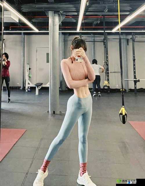 健身房 H1V2 :打造完美身材与健康生活的理想之地