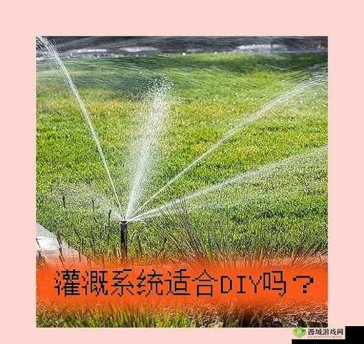 探秘:HP 公交车灌溉系统背后的秘密