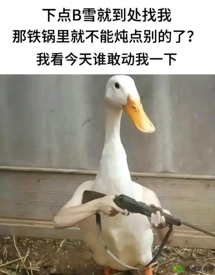 啊∽你 TM 别 我下我的 B:究竟发生了什么