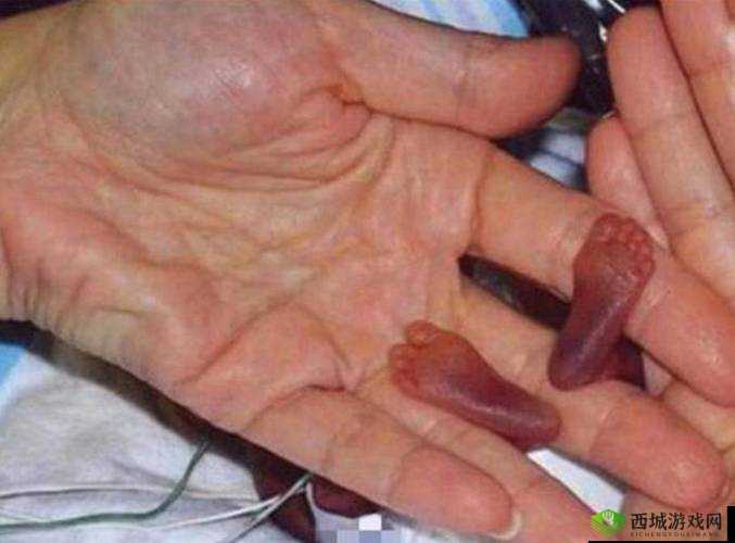 世界上最小 BB 有几个:探寻最小 BB 的相关奥秘及背后故事