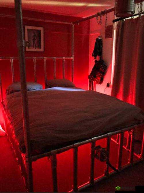 神秘囚禁之馆:隐藏于黑暗中的诡异之地