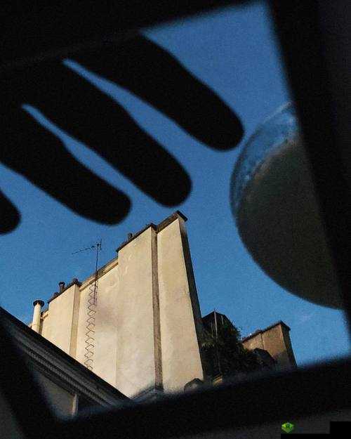 国产 R 级片区:独特视角下的别样精彩呈现