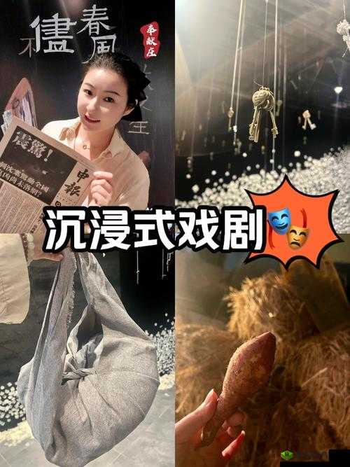 GOGOGO 中国剧情介绍与评价大牛:深度剖析剧情与精彩解读