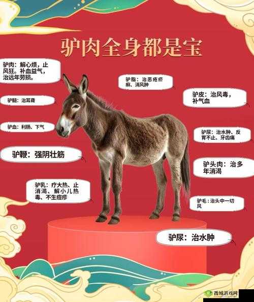 傻大壮长着驴一样的东西是什么:这到底是怎么回事呢