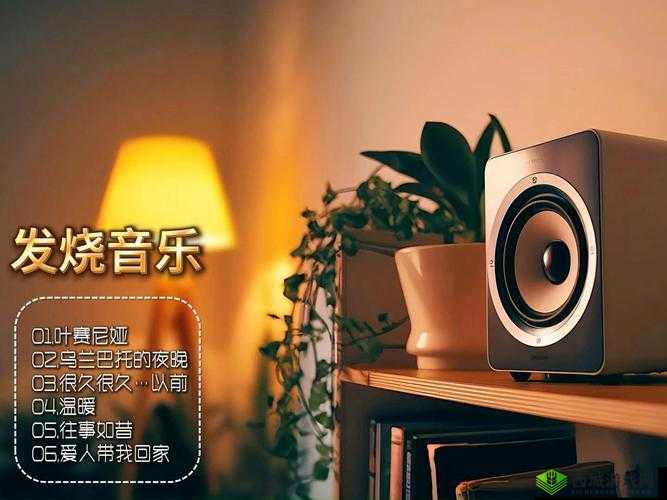 声声入魂 hifi:带你领略极致音乐体验的魅力世界