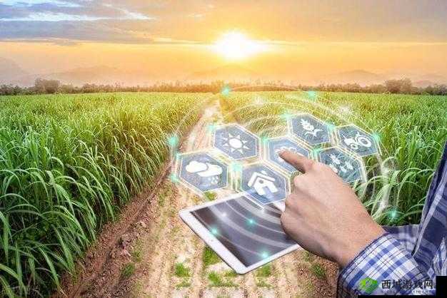 爱情岛论坛AQDOV 农业:探讨其发展与未来前景及对人们生活的影响