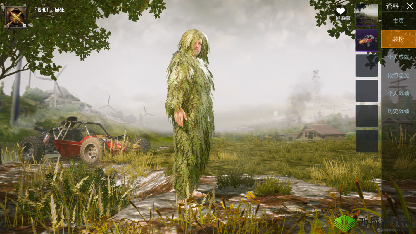 荒野行动迷彩吉利服和麦田吉利服哪种隐藏好