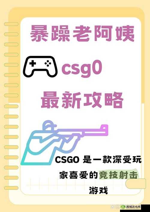 暴躁老阿姨 CSGO 世界:游戏中的热血激战与独特风采