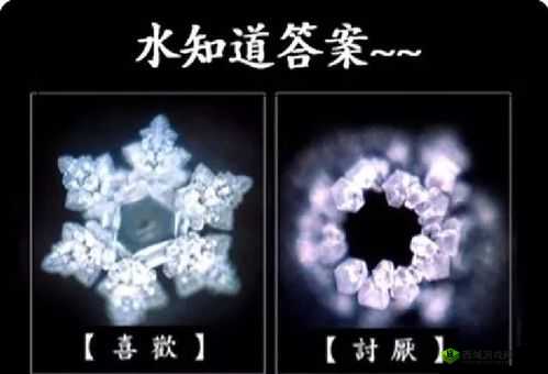 69xxx 水多多:探索未知的水上世界