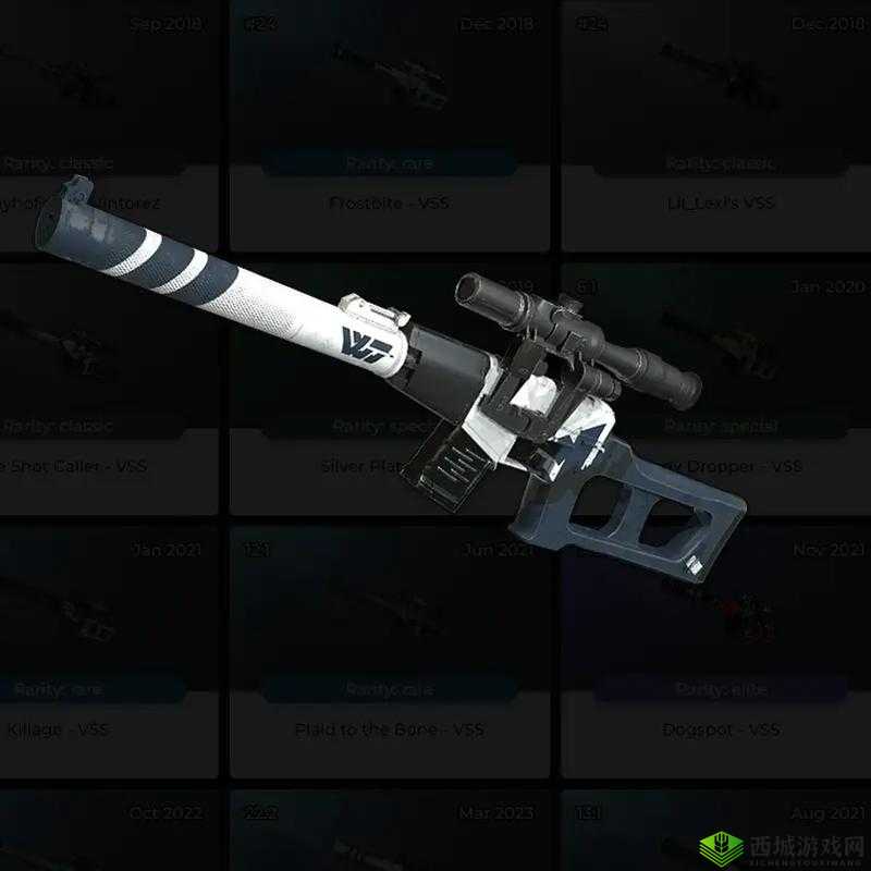 绝地求生VSS,低调的战术大师