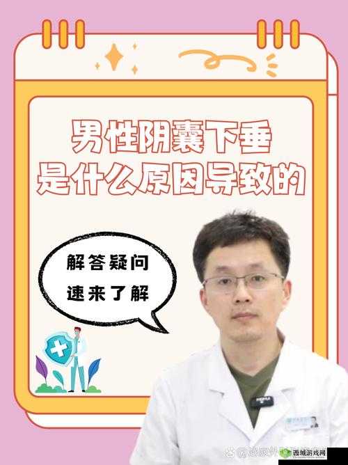 快射精时睾丸升高的生理现象及相关探讨