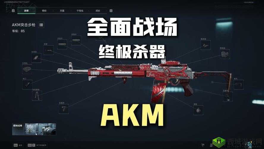 绝地求生手游AKM武器点评，AKM伤害高吗