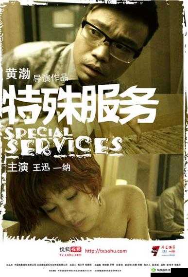 特殊服务 3 星辰:开启独特非凡之旅