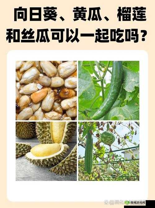 丝瓜草莓秋葵榴莲:四种蔬果的奇妙世界与独特魅力