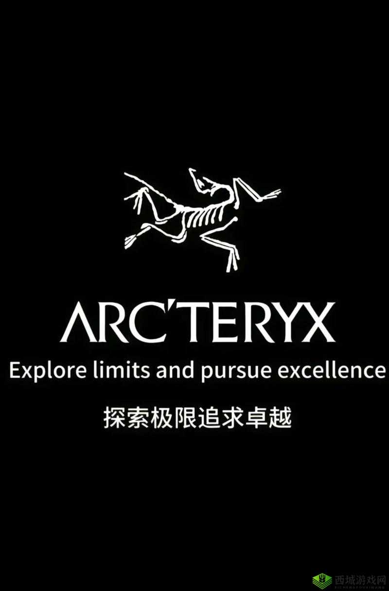 WindowsChannel 学生:探索知识海洋追求卓越未来