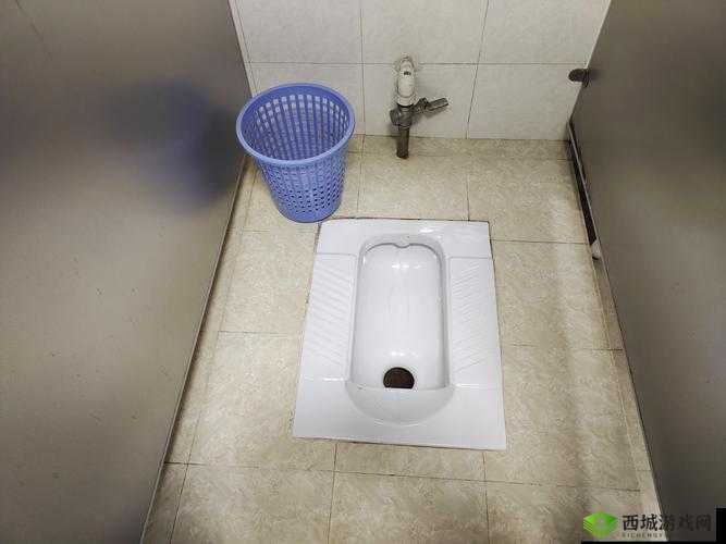 国产精厕:国产优质精品厕所的缩写