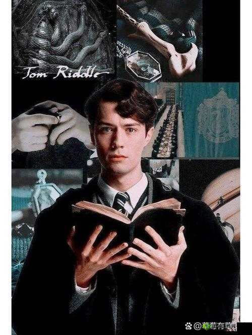 光荣使命如何成为LYB 伏地魔的自我修养