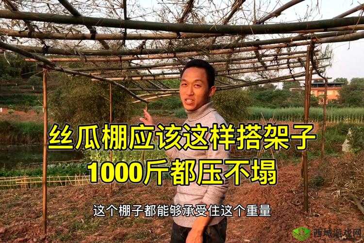 樱桃视频app 无限看丝瓜视频丝瓜:带你体验不一样的视频世界