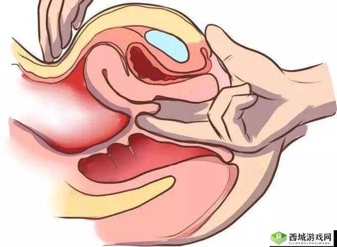 秘 成人漫画 H 入口真人:探寻私密领域的激情世界