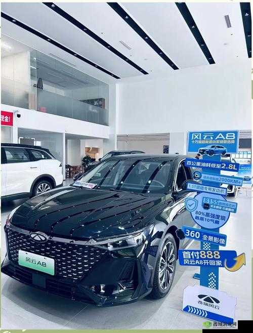 日韩欧洲亚洲 SUV 全方位解析:从设计到性能,你想知道的都在这里
