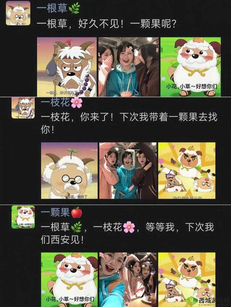 17.c 一起草国卢 o:一个独特且神秘的组合名称