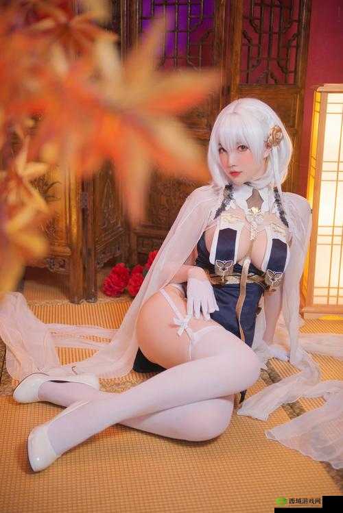 唐三比比东不亦乐乎 NBA 百科相关内容全解析