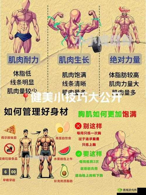 中国惊奇先生怎么健身,健身系统玩法深度解析