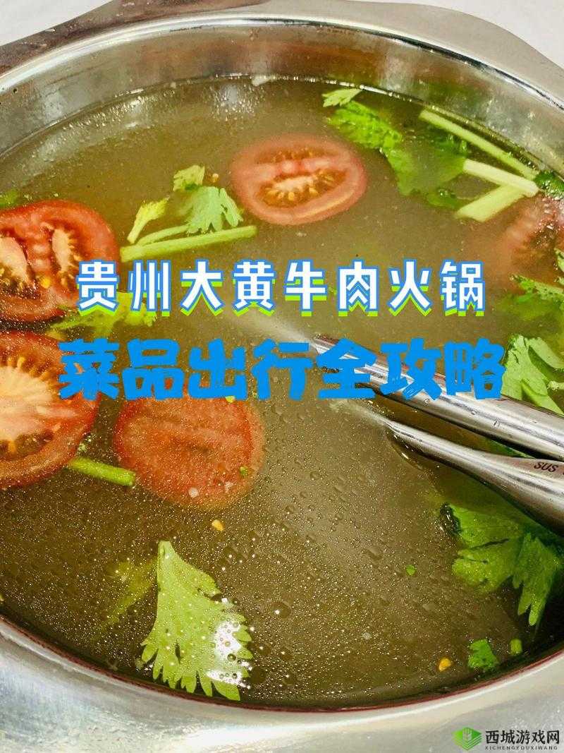 奶块生牛肉获取秘籍，解锁烤牛肉的美味之旅