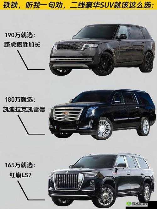 久久日一线二线三线 SUV：SUV 车型的多样选择