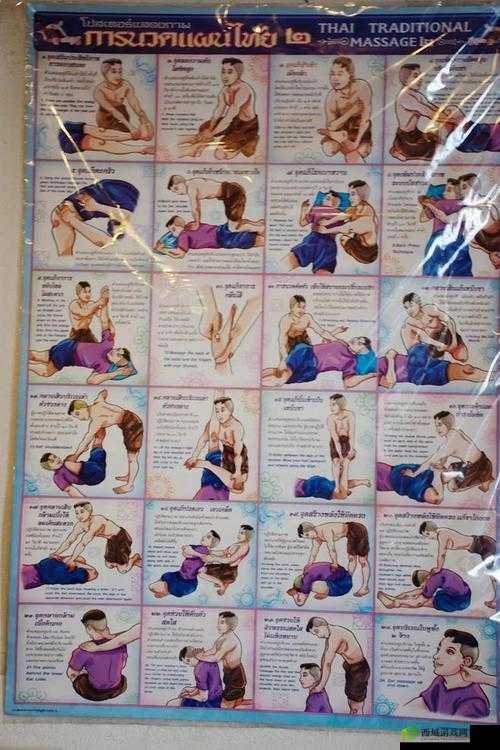 男女上下拱 120:挑战身体极限的独特健身方式探索