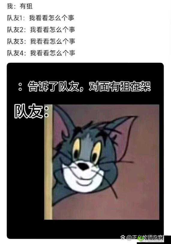 你的队友属于哪种,盘点光荣使命中的队友