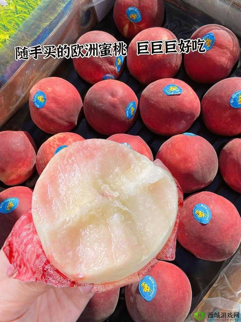 水蜜桃 5 意大利:独特魅力与精彩呈现