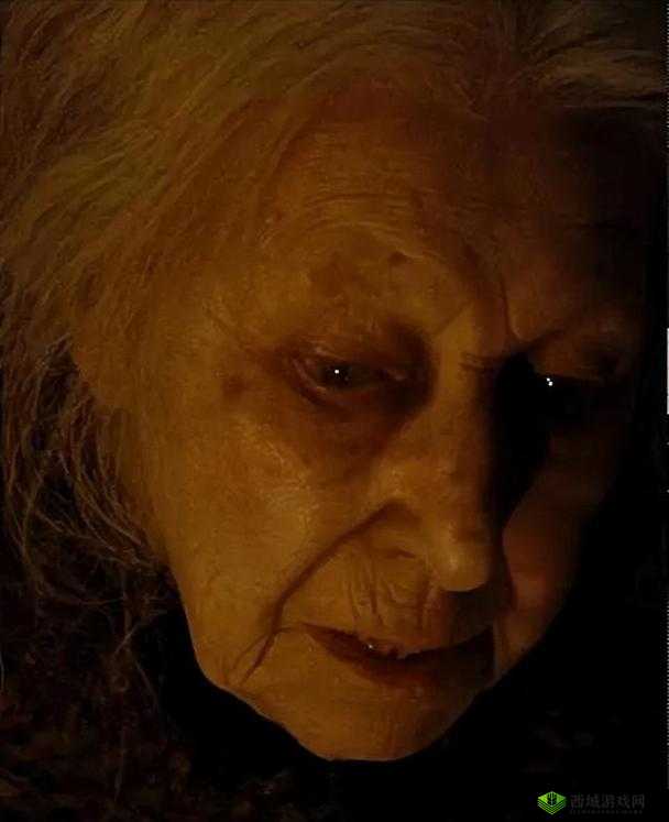 老太太 bgmbgmbgm 大:一位充满故事的神秘人物