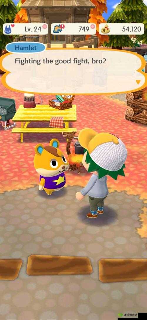 动物之森口袋露营,11月22日正式上线的奇妙之旅