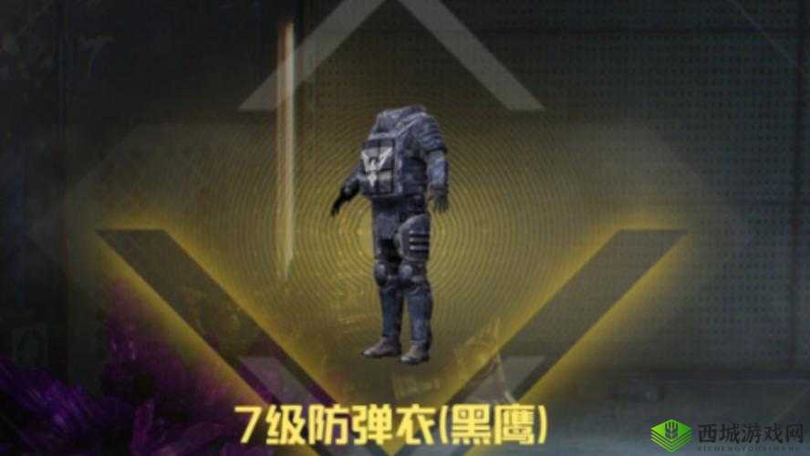 光荣使命手游防弹衣大全，3级防弹衣可以挡多少伤害