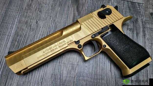 终结者2审判日手枪大对比，沙漠之鹰与G18C哪个好用——资源管理视角下的深度剖析