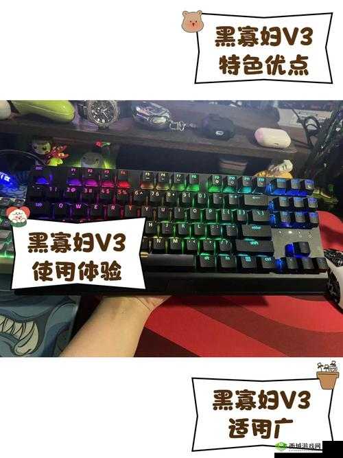 黑寡妇 v3 无线多少入手合适:不同渠道价格对比与分析