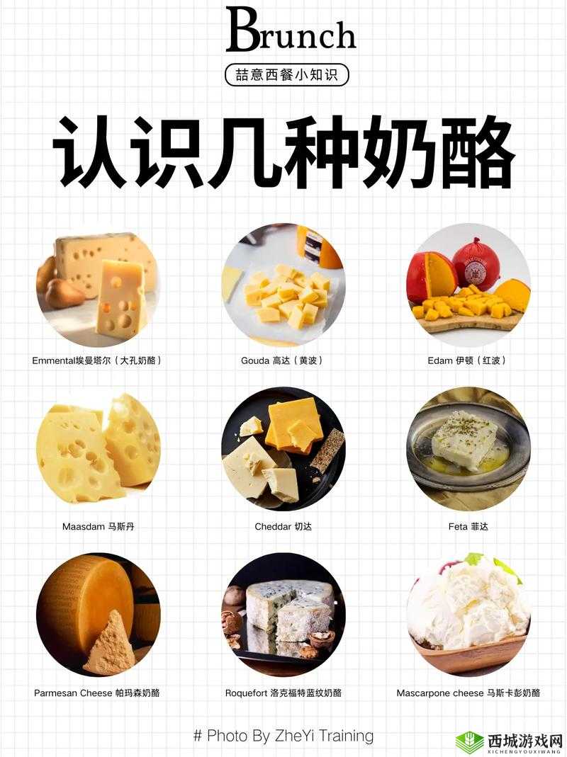 奶块奶酪获得方法，四种方法任你领在资源管理中的重要性及策略