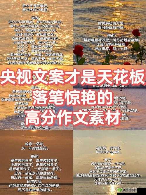 暮夕深林的资源盛宴:一场自然与人文的交融