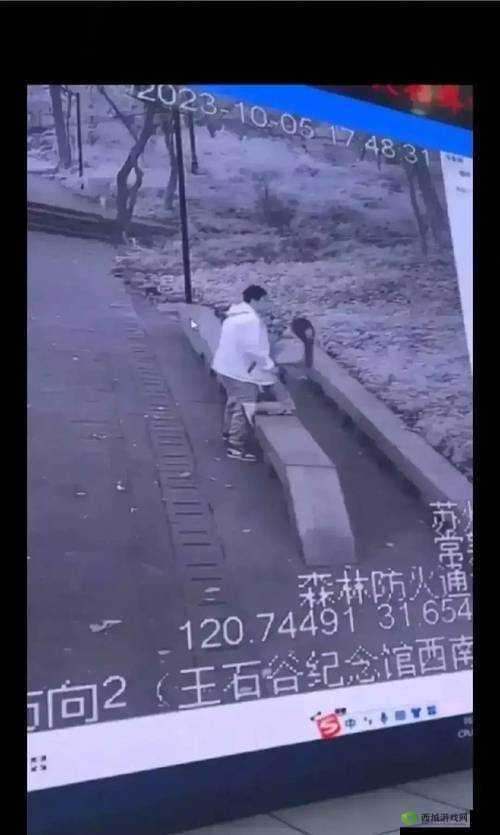 激烈运动的两人:打扑克的刺激时刻