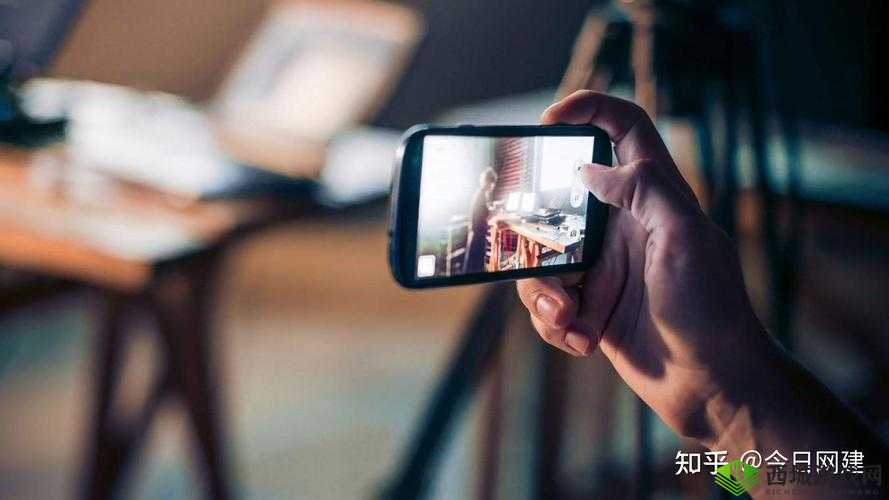 成色好的 S31 标准版助力短视频创作:开启创意无限的视频之旅