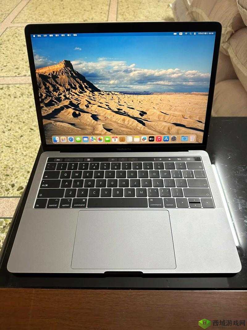 19 岁 macbookpro 欧美:年轻与科技的完美结合