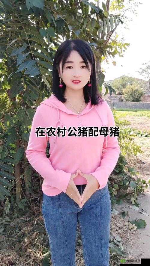 女人与公豬交交 30 分钟:震惊难以想象的一幕